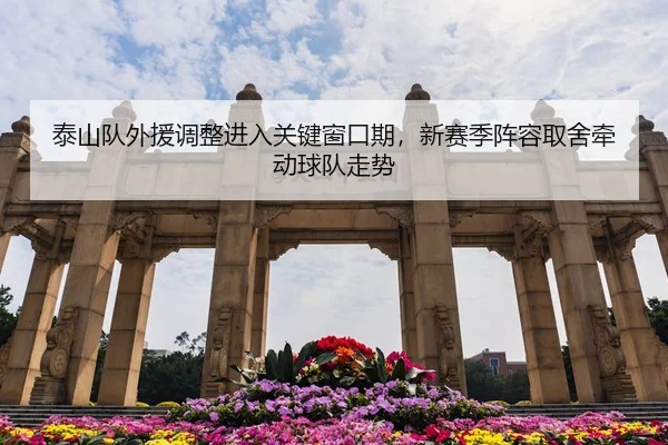 泰山队外援调整进入关键窗口期，新赛季阵容取舍牵动球队走势